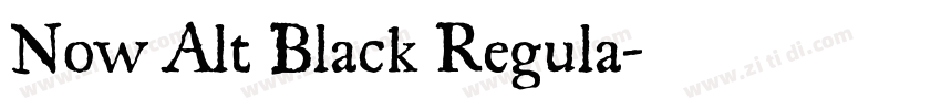 Now Alt Black Regula字体转换